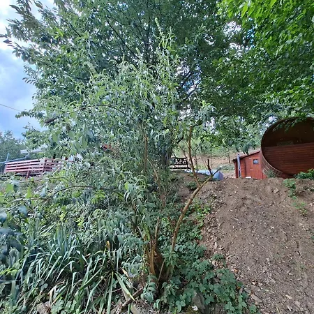 Prázdninový dům Wellness Glamping Za Homoli *